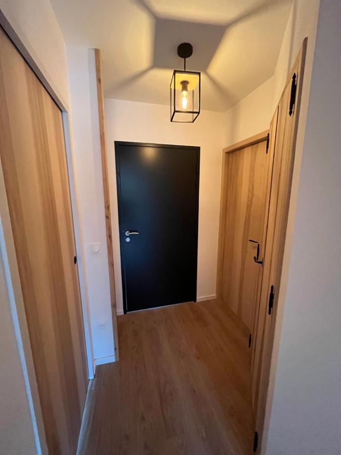 Appartement Aux Pieds Des Pistes De Ski Laveissiere Экстерьер фото